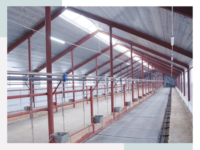 Строительство коровников в Ногинске от 608 руб.