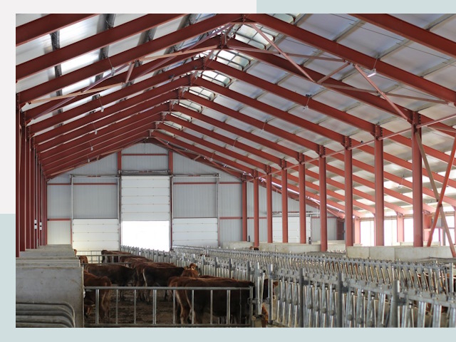 Строительство коровников в Ногинске