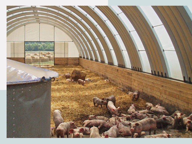 Строительство свинарников в Ногинске